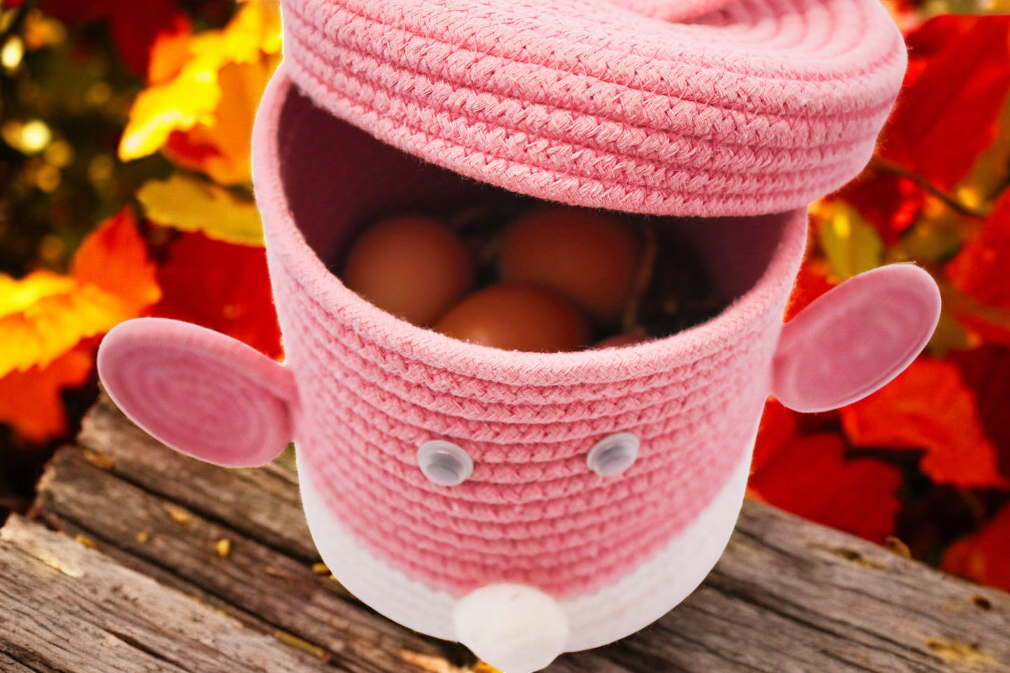 Bunny-Themed Baby Girl Announcement Boxes