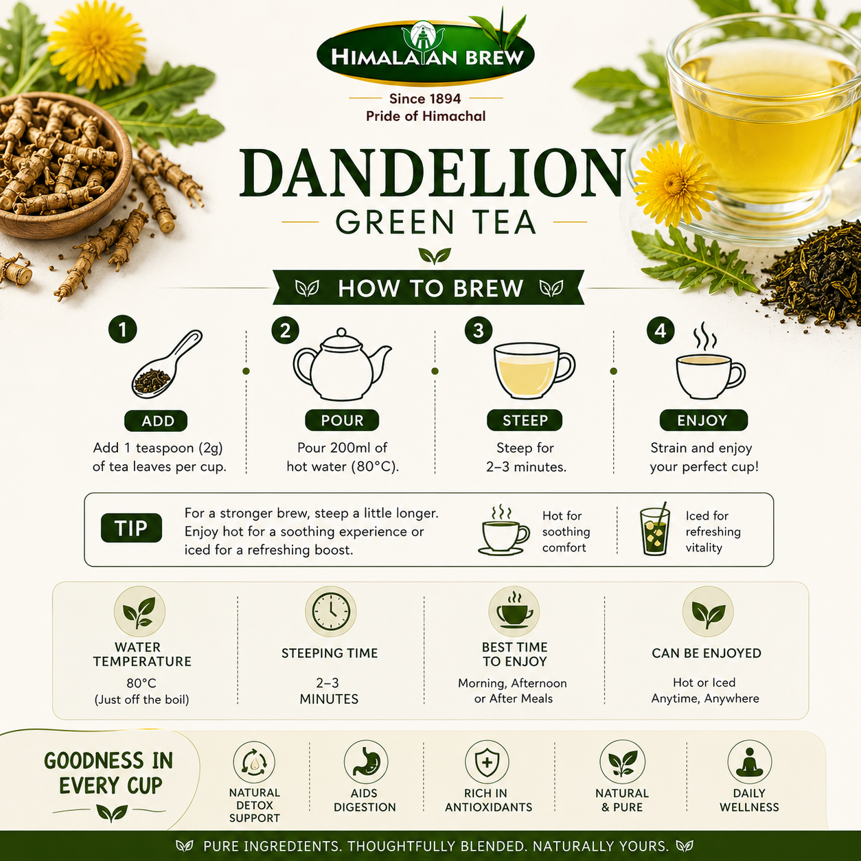 Dandelion Green Tea