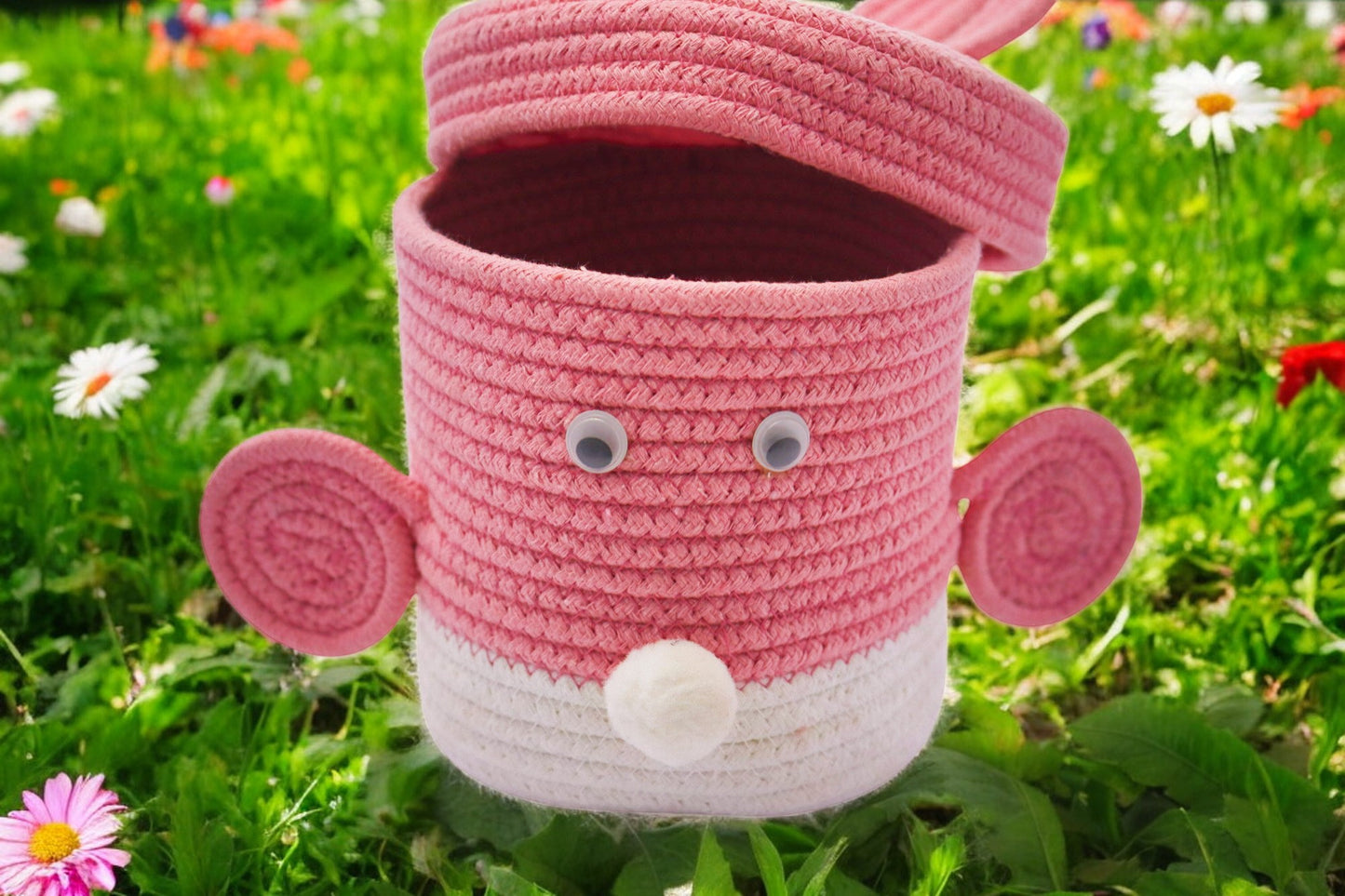 Bunny-Themed Baby Girl Announcement Boxes